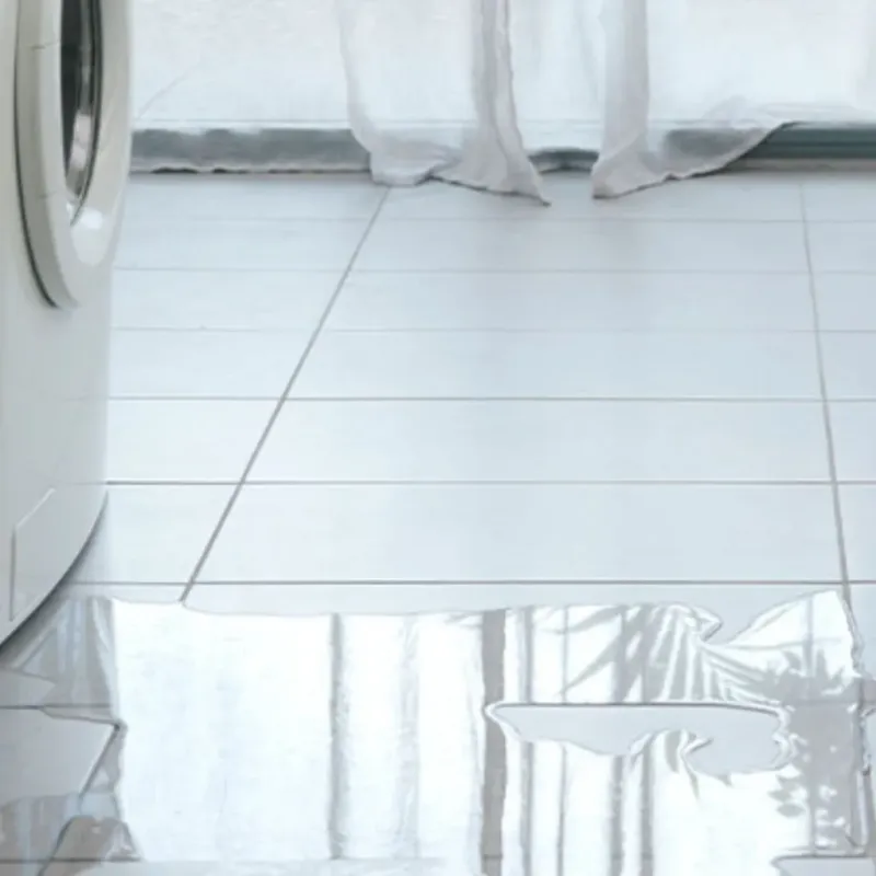Appliance Leak Cleanup in Newman, CA