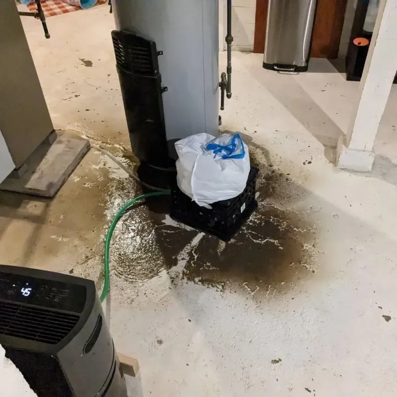 Sewage Backup Cleanup Service in Newman, CA